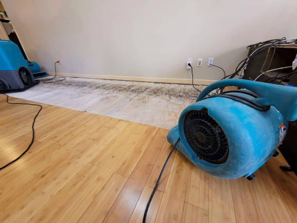 Professional Structural Drying technician working in Victoria, MN